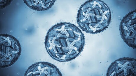 Risk of long-term health complications after dengue recovery