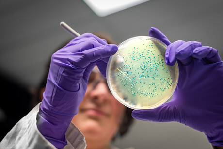 FDA approves food processing aid to help eliminate Listeria FDA approves food processing aid to help eliminate Listeria