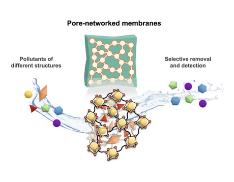Membrane removes low-concentration contaminants from water Membrane removes low-concentration contaminants from water