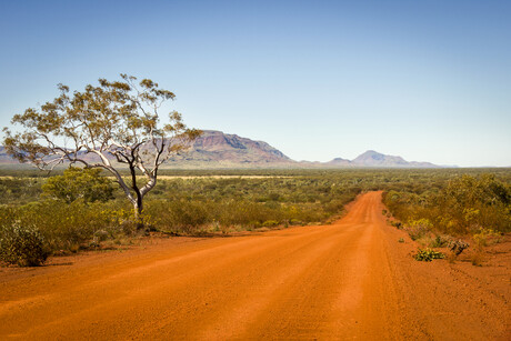 EOIs sought for Pilbara transmission project EOIs sought for Pilbara transmission project