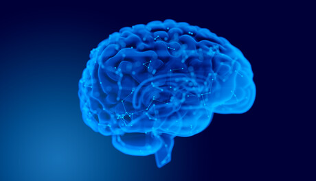 Shared cellular mechanisms found across three major dementias Shared cellular mechanisms found across three major dementias