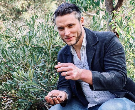 Soundwaves stimulate plant growth-promoting fungus