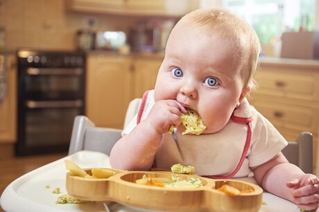 Ready-made infant, toddler food study finds some falling short on nutrition