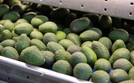 Industry-level life cycle assessment of Australian avocado production Industry-level life cycle assessment of Australian avocado production