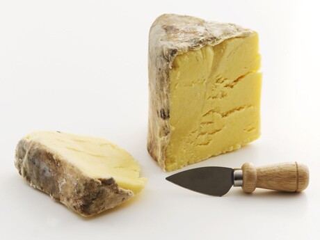 Full-bodied cheese: new analysis method for flavour prediction Full-bodied cheese: new analysis method for flavour prediction