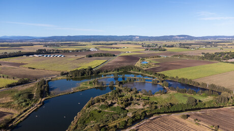 Concerns over changes to GM food definition Concerns over changes to GM food definition