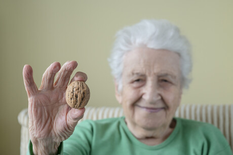 Regularly eating nuts supports healthy lifespan, research finds