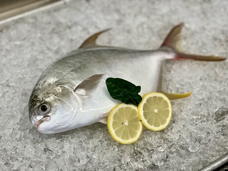 A fresh catch for Australian plates A fresh catch for Australian plates