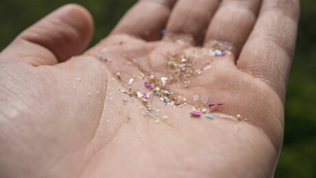 Nanoplastics can reduce effectiveness of antibiotics