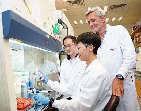 Plug-and-play test evaluates T cell immunotherapy effectiveness