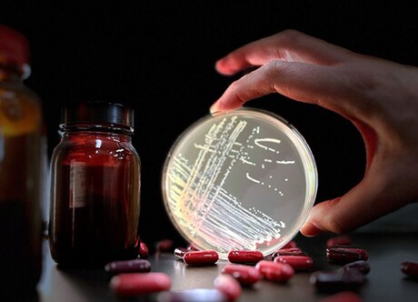 'Low-risk' antibiotic linked to rise of dangerous superbug 'Low-risk' antibiotic linked to rise of dangerous superbug