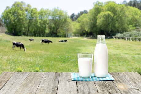 Who will pay for emission reductions in the milk sector?