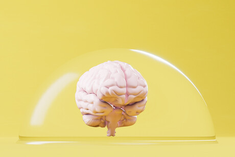 A new way to cross the blood&ndash;brain barrier