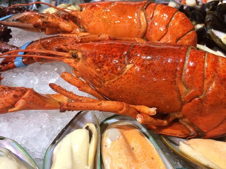 Cook government puts WA food on plates in Vietnam