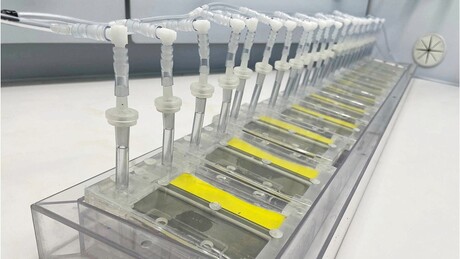 Green hydrogen innovation wins Climate Innovation Challenge