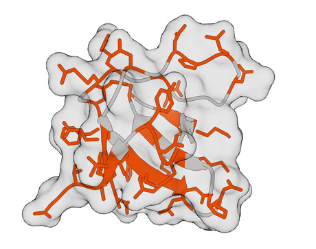Predicting the impact of protein mutations with simple maths Predicting the impact of protein mutations with simple maths