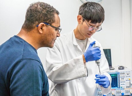 Artificial &#39;nose&#39; can sniff out damaged fruit and spoiled meat