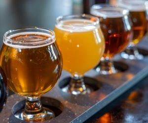 Field pea sugars speed up sour beer brewing