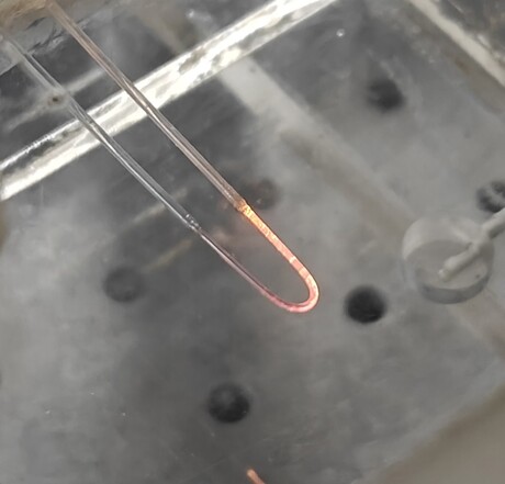 Optical fibre sensor detects arsenic in drinking water