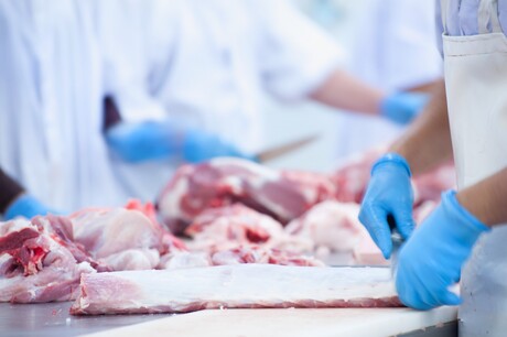 Exploitation rife among migrant meat workers: report Exploitation rife among migrant meat workers: report