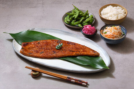 Eel appeal: Japanese consumers willing to try cultured eel