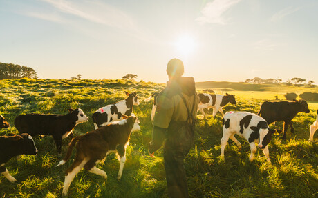 New farmer incentives to reduce on-farm emissions