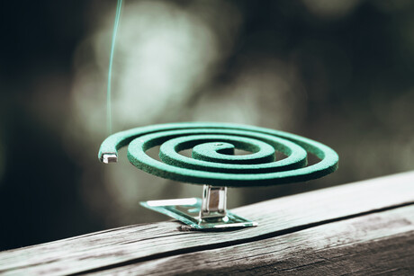 NSW records first Japanese encephalitis death since 2022 NSW records first Japanese encephalitis death since 2022