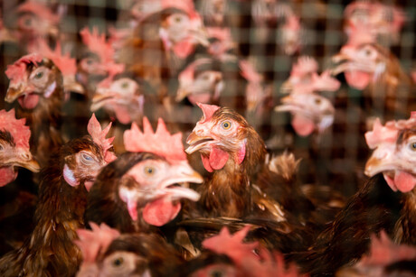 US agency sued over &#39;deceptive&#39; product labelling