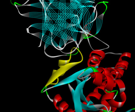 Biotherapeutics: what do we make next?