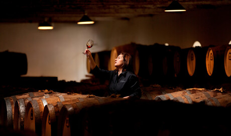 Launch of 100-year-old Barossa wine