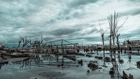 From past to present: leveraging satellite data for better disaster resilience From past to present: leveraging satellite data for better disaster resilience