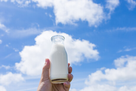Pure Dairy announces leadership and facility plans Pure Dairy announces leadership and facility plans