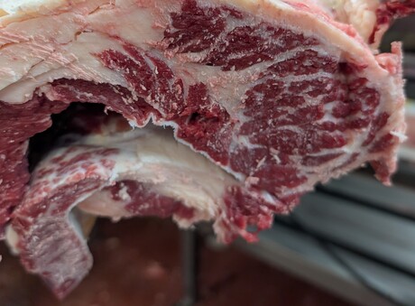 South America&#39;s beef industry and its implications for Australia