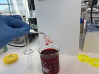 Surface coating may prevent blood clots in medical implants 