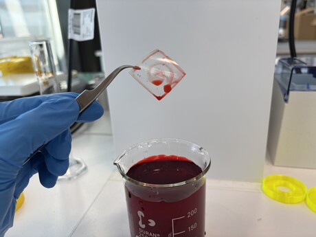 Surface coating could prevent blood clots in medical implants