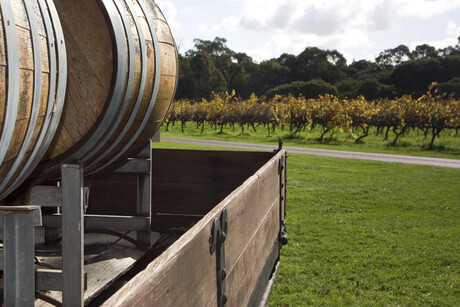 Tour highlights heat pump technologies for beverage makers