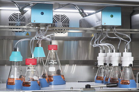 Widespread applications of shake flask off-gas analysis across biotechnology