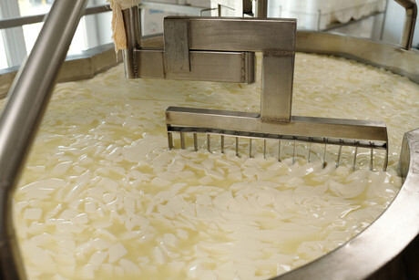 Whey to go up: unlocking further potential for cheese by-product
