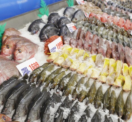 ANSTO supports seafood provenance project planning