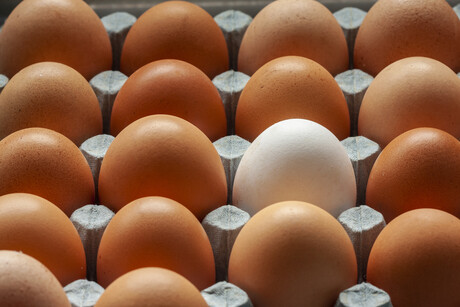 Egg food safety review proposes updates to Food Standards Code