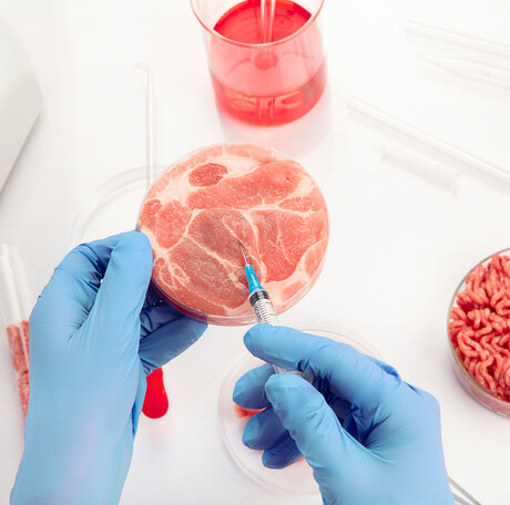 Is cultured meat possible without antibiotics?