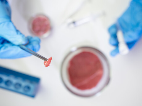 First cell-cultured food approved by FSANZ Board