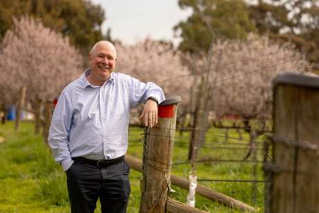 Futureproofing Aussie wines with mildew-resistant grapevines Futureproofing Aussie wines with mildew-resistant grapevines