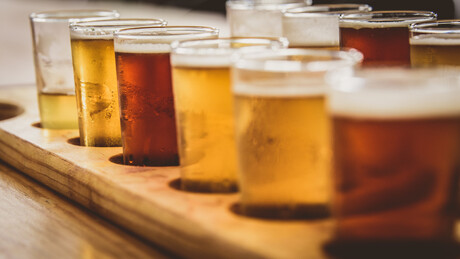 Non-alcoholic beer yeasts evaluated for fermentation activity