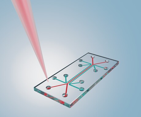 'Pain-on-a-chip' device identifies different chronic pain types 'Pain-on-a-chip' device identifies different chronic pain types