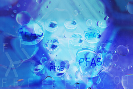 Water filter designed to remove PFAS molecules Water filter designed to remove PFAS molecules