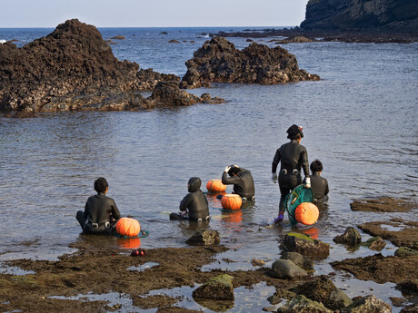 Korea&#39;s Haenyeo show genetic adaptation to cold-water diving