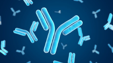 Super-strong antibodies developed for cancer treatment