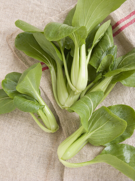 Injectable tech for fresh produce could extend shelf life