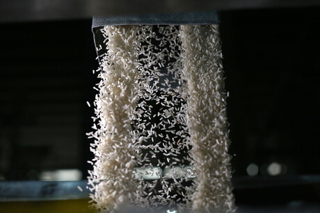 From grain processing waste to high-value products